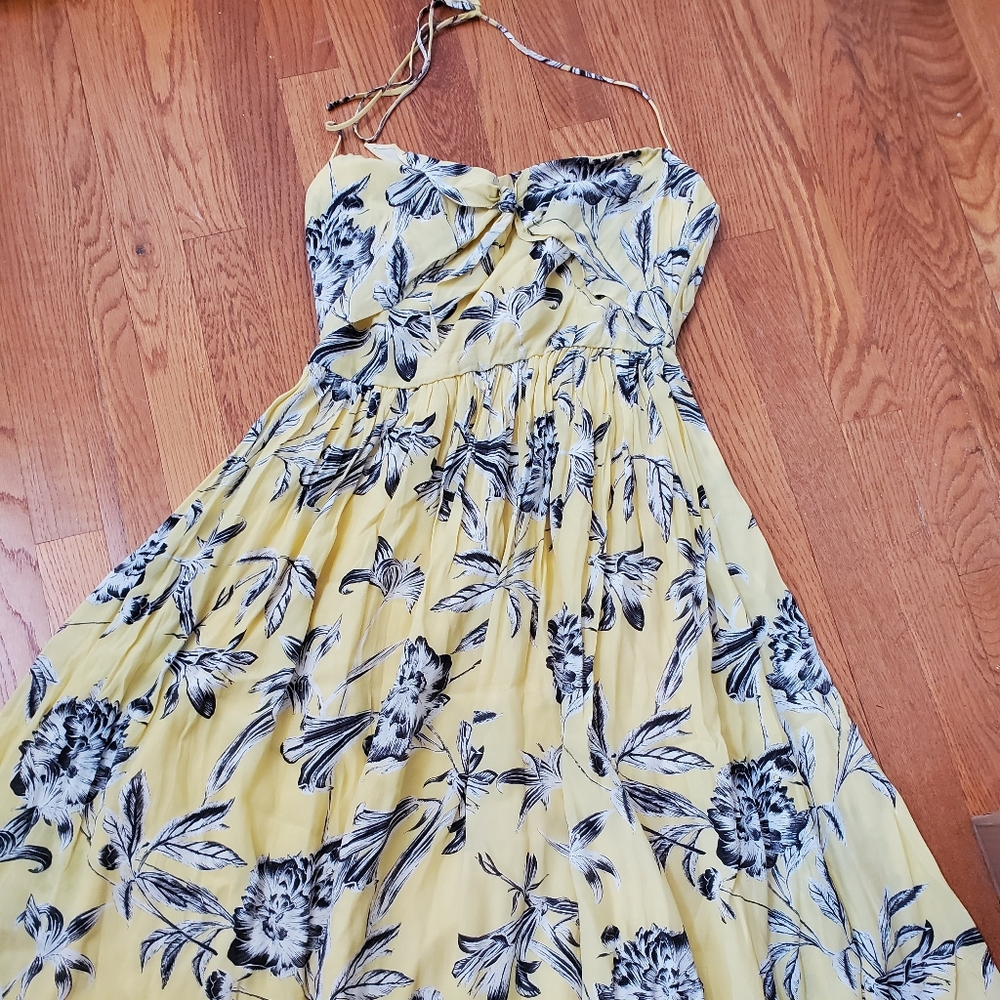 Bb Dakota dress